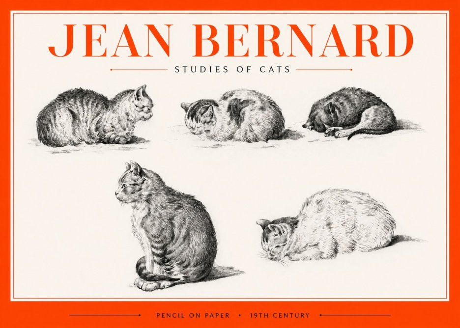 Jean Bernard Studies of Cats No2 - Plakat