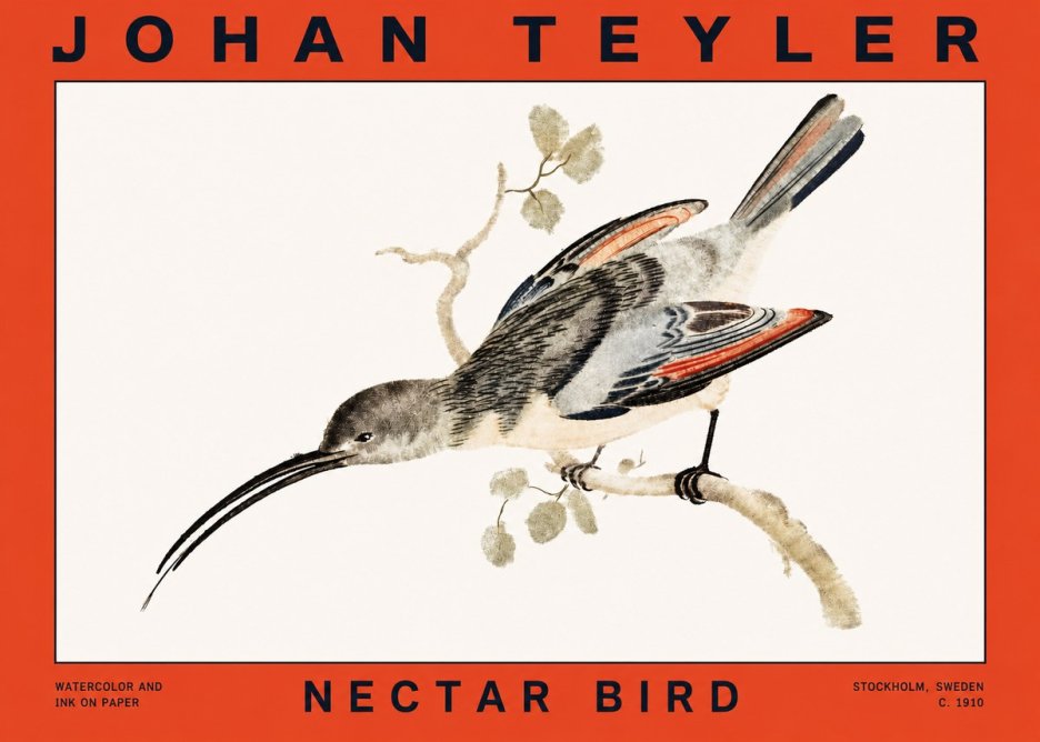 Johan Teyler Nectar Bird No2 - Plakat