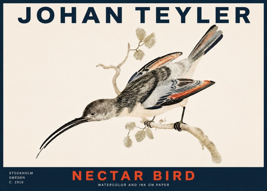 Johan Teyler Nectar Bird No4 - Plakat