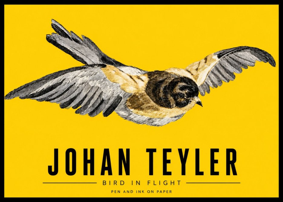 Johan Teyler Bird in Flight I No3 - Plakat
