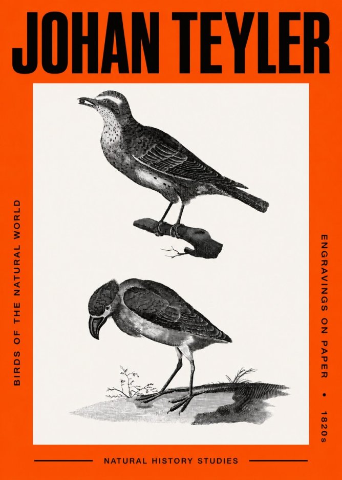 Johan Teyler Birds of the Natural World No2 - Plakat