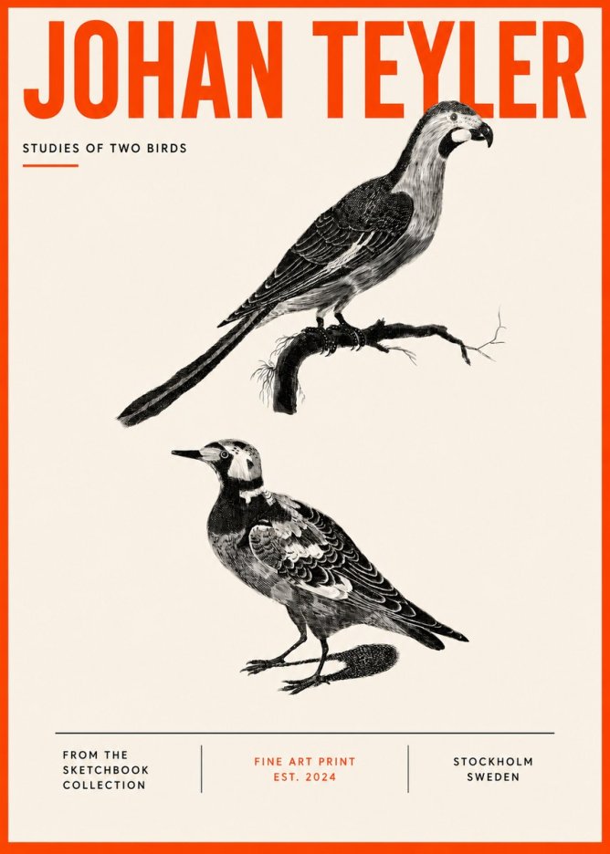 Johan Teyler Birds - Study of Two Species No5 - Plakat