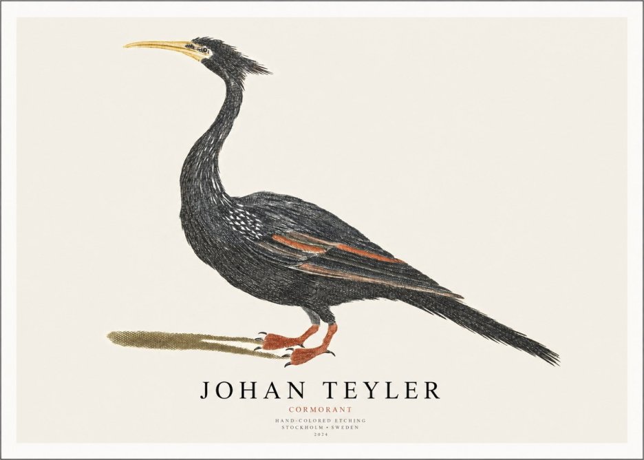Johan Teyler Cormorant No1 - Plakat