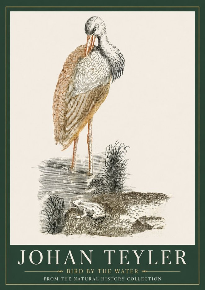 Johan Teyler Bird by the Water No3 - Plakat