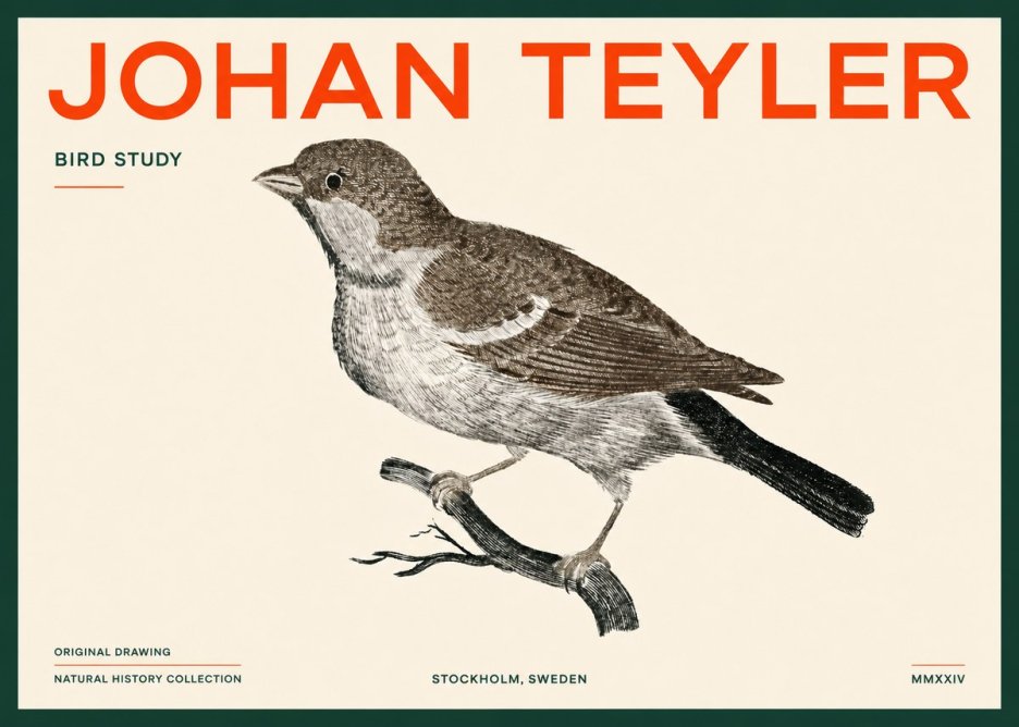 Johan Teyler Bird Study II No5 - Plakat