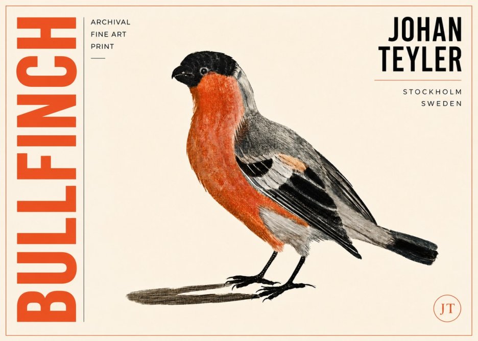 Johan Teyler Bullfinch No3 - Plakat