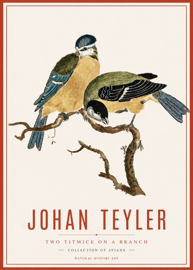 Johan Teyler Two Titmice on a Branch No6 - Plakat