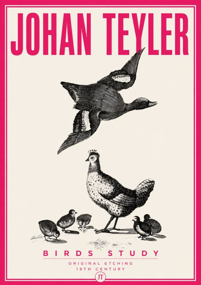 Johan Teyler Birds Study No6 - Plakat