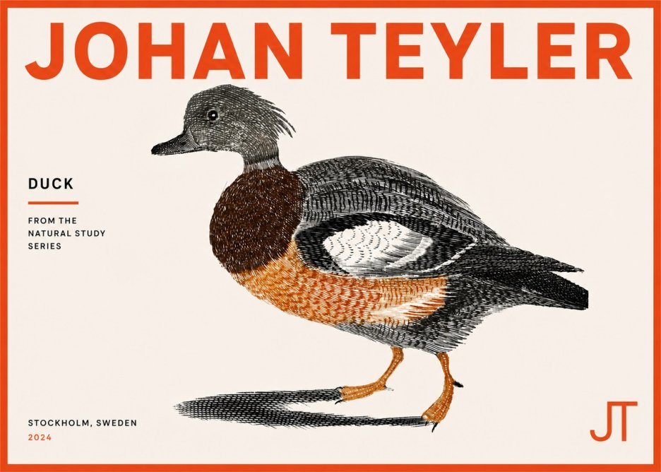 Johan Teyler Duck II No5 - Plakat