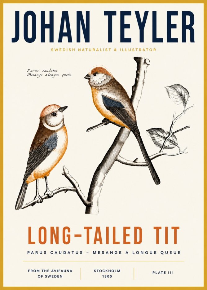 Johan Teyler Long-tailed Tit No3 - Plakat