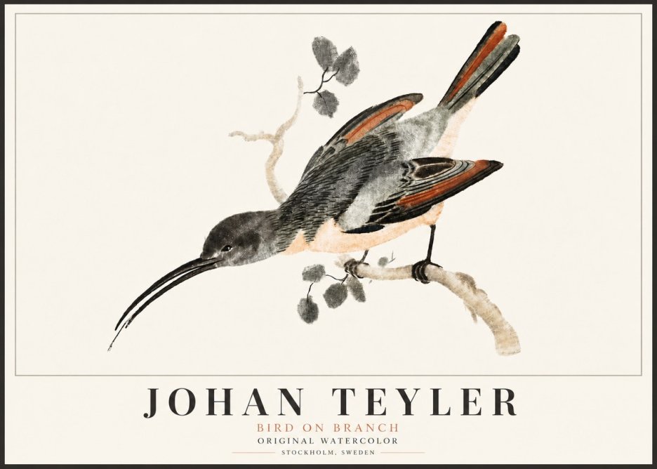Johan Teyler Bird on Branch II No5 - Plakat