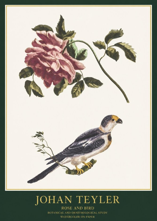 Johan Teyler Rose and Bird I No1 - Plakat