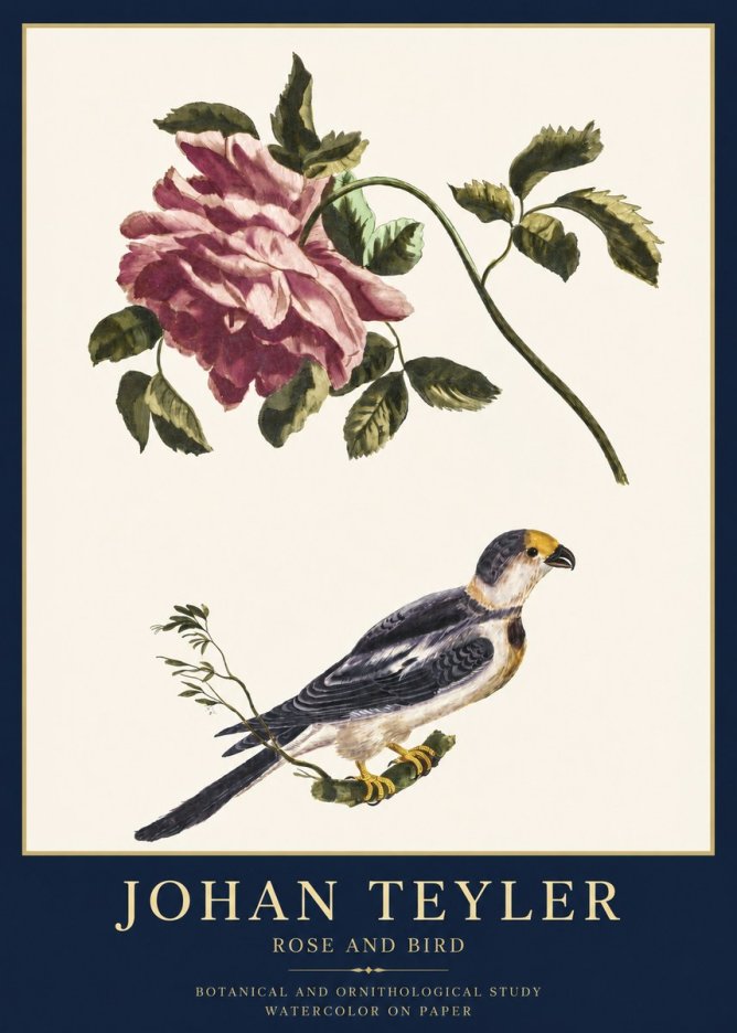 Johan Teyler Rose and Bird I No3 - Plakat