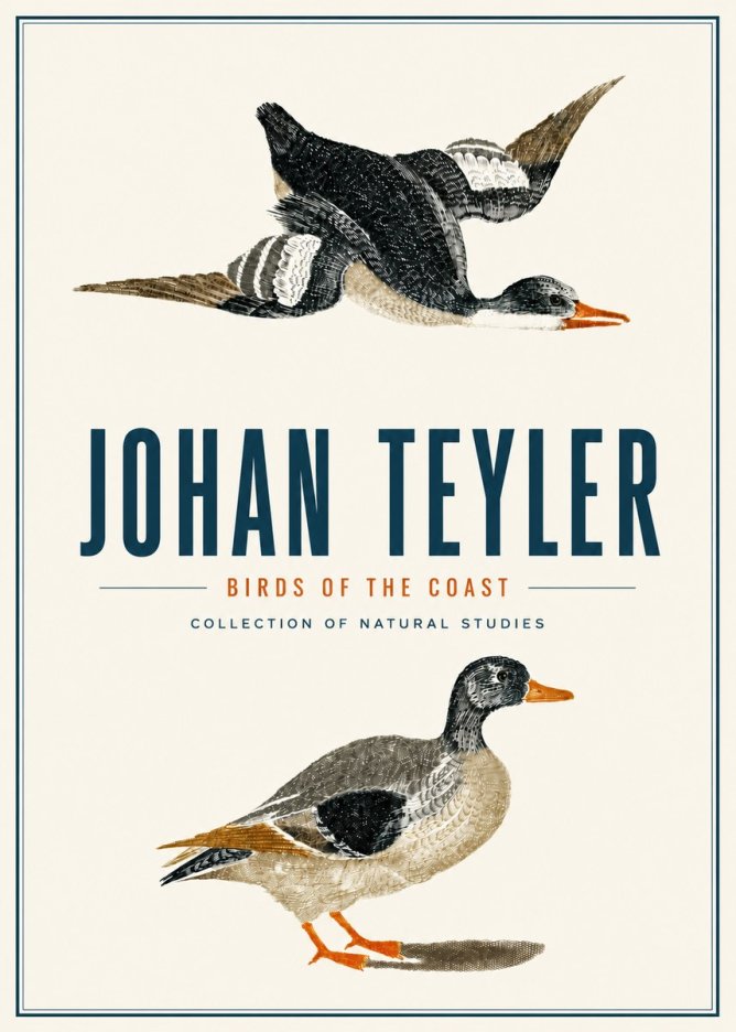 Johan Teyler Birds of the Coast No4 - Plakat