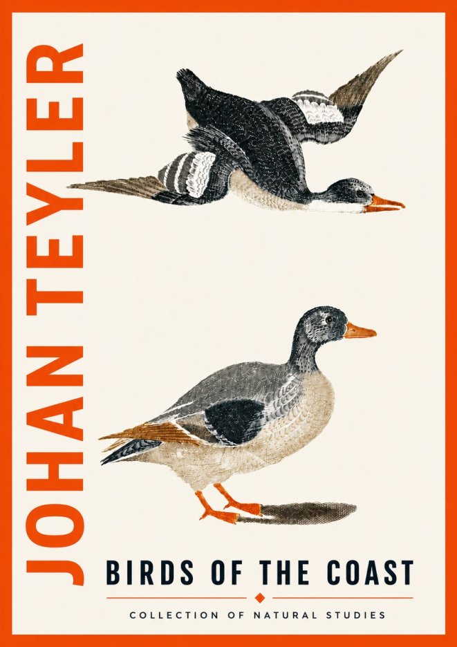 Johan Teyler Birds of the Coast No5 - Plakat