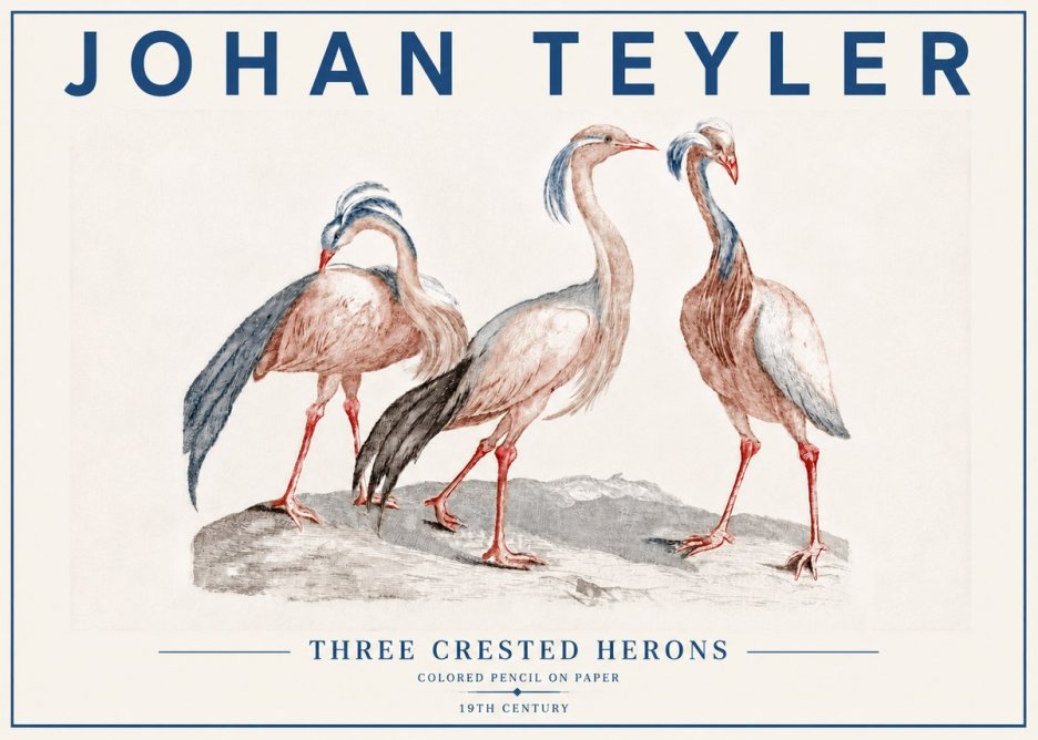 Johan Teyler Three Crested Herons No6 - Plakat