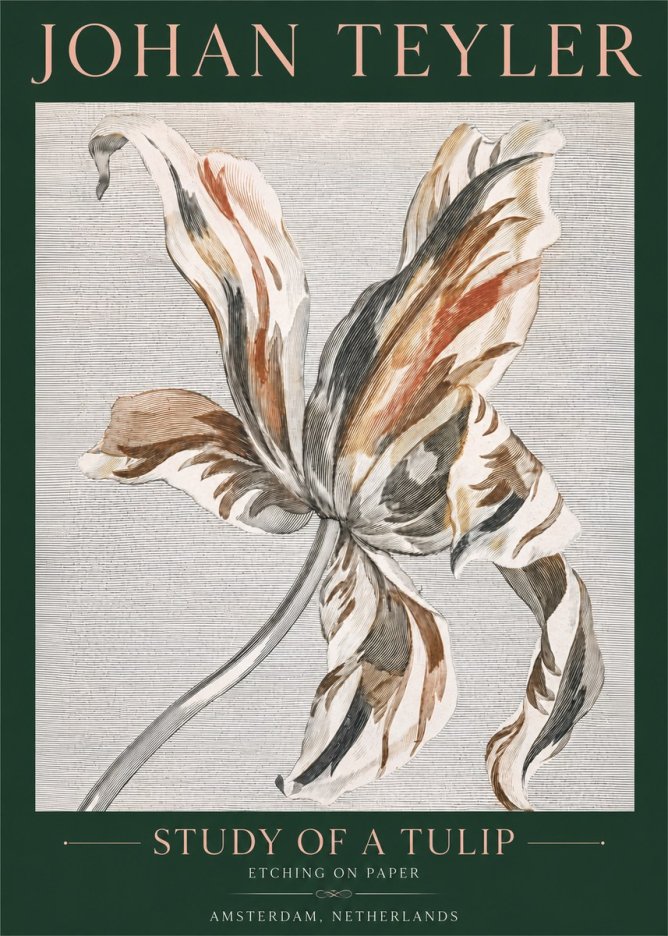 Johan Teyler Study of a Tulip No4 - Plakat
