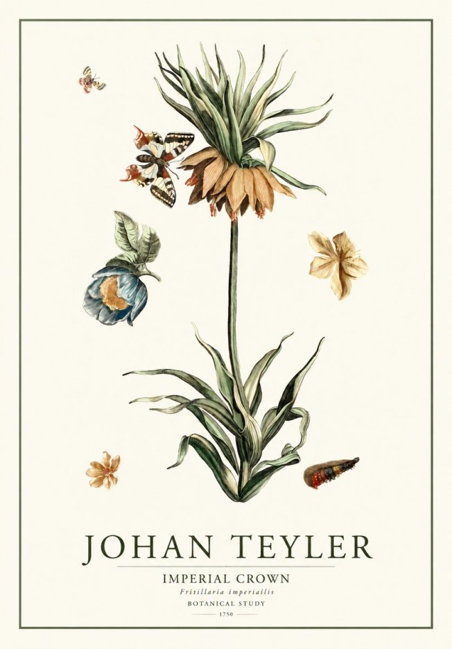 Johan Teyler Crown Imperial No2 - Plakat