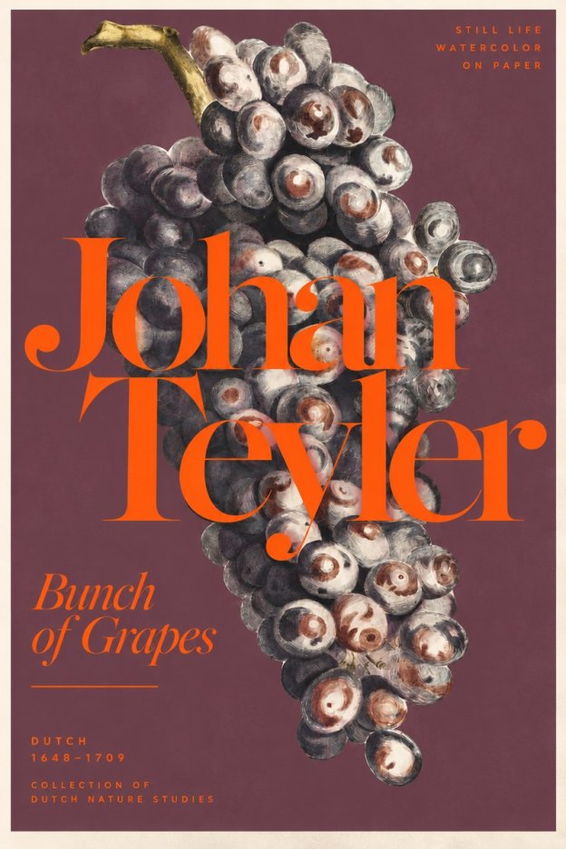 Johan Teyler Bunch of Grapes No3 - Plakat