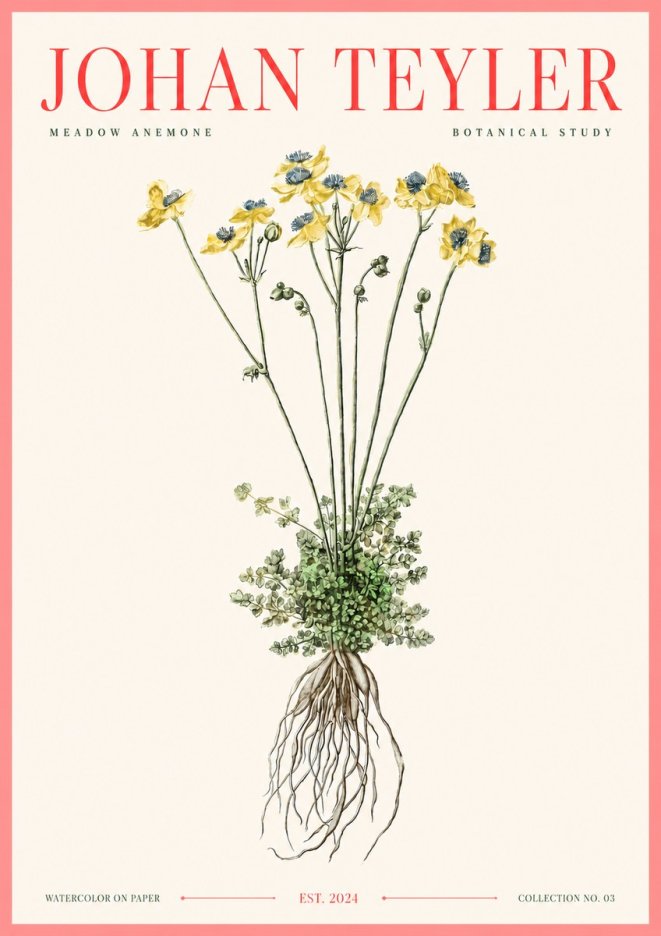 Johan Teyler Meadow Anemone No3 - Plakat