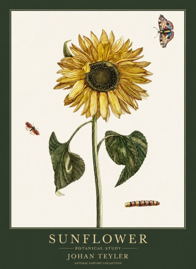 Johan Teyler Sunflower with Insects No6 - Plakat