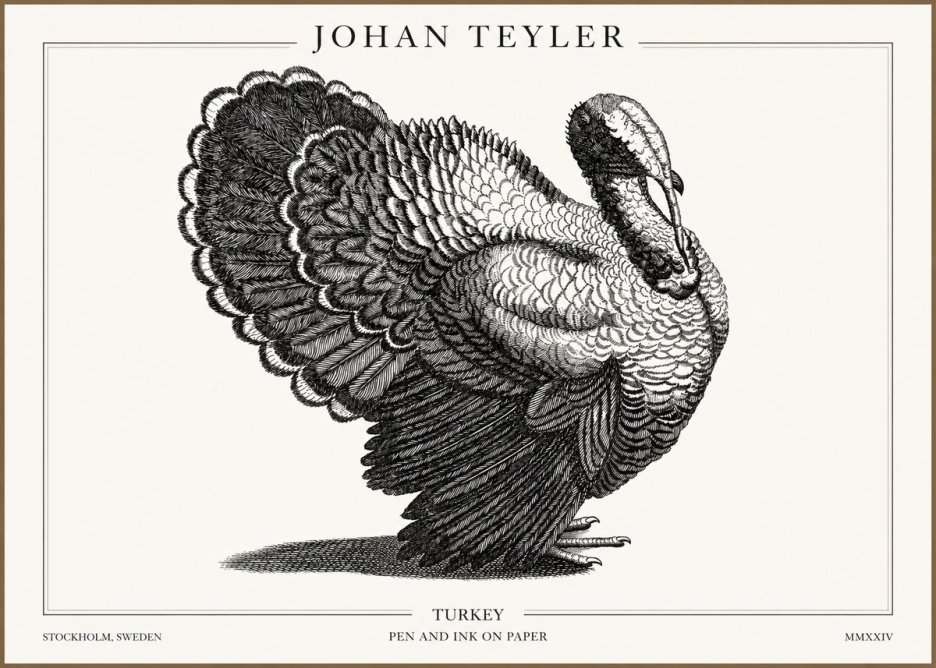 Johan Teyler Turkey No2 - Plakat