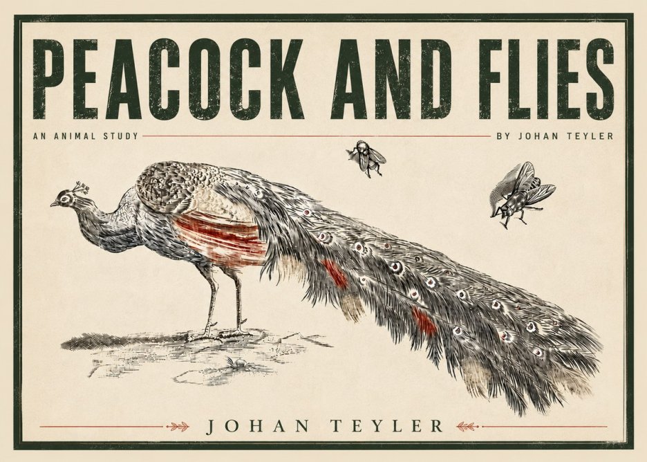Johan Teyler Peacock and Flies - Animal Study No5 - Plakat