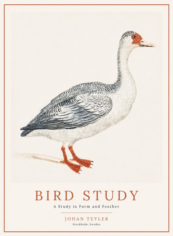 Johan Teyler Goose Study No2 - Plakat