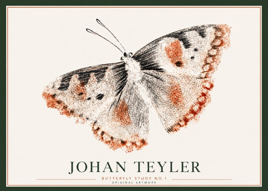 Johan Teyler Butterfly Study No.1 No3 - Plakat