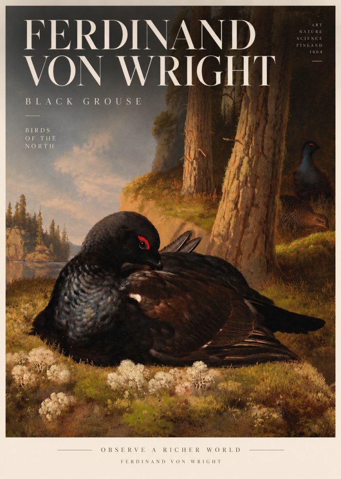Ferdinand von Wright The Black Grouse No5 - Plakat