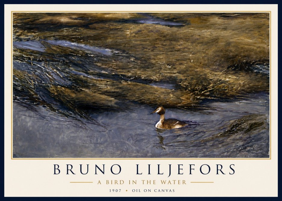 Bruno Liljefors A Bird in the Water No6 - Plakat