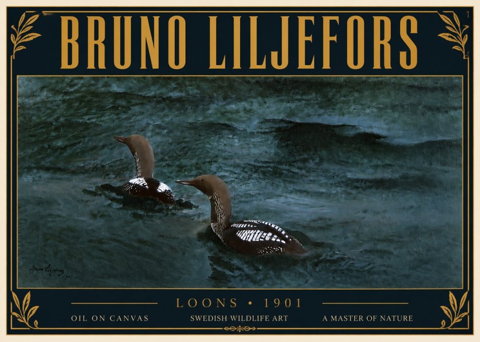 Bruno Liljefors Loons · 1901 No6 - Plakat