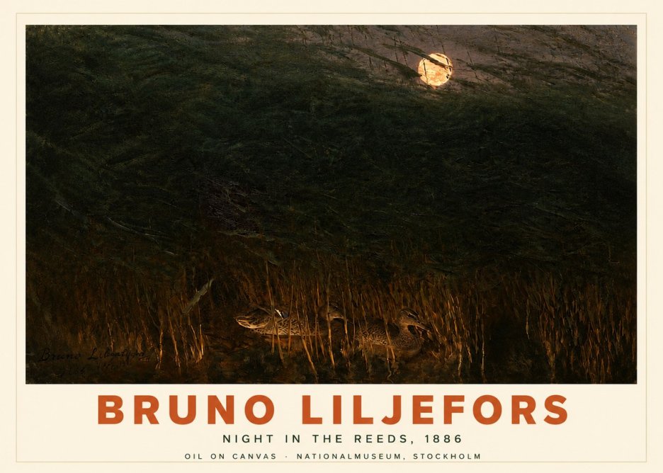 Bruno Liljefors Night in the Reeds No4 - Plakat