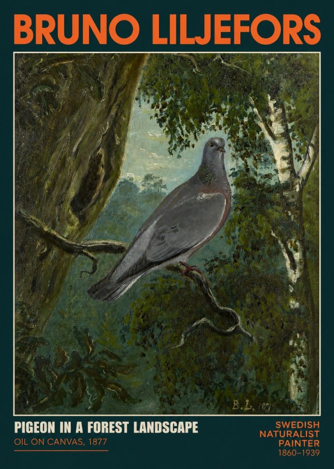 Bruno Liljefors Pigeon in a Forest Landscape No2 - Plakat