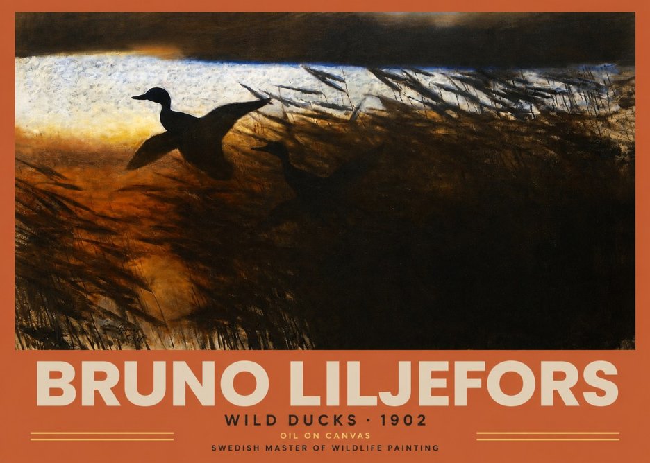 Bruno Liljefors Wild Ducks II No2 - Plakat