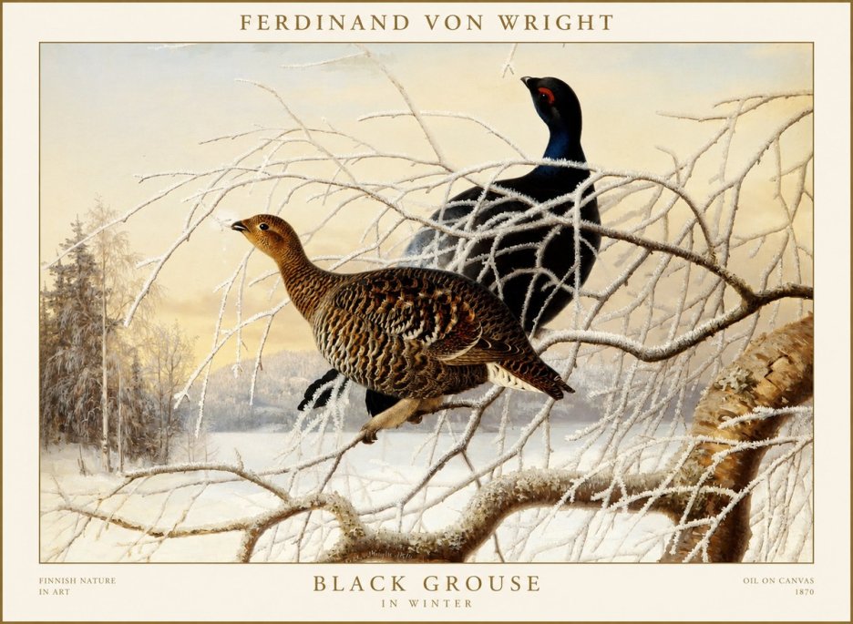 Ferdinand von Wright Black Grouse in Winter No1 - Plakat