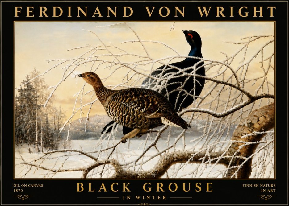Ferdinand von Wright Black Grouse in Winter No6 - Plakat