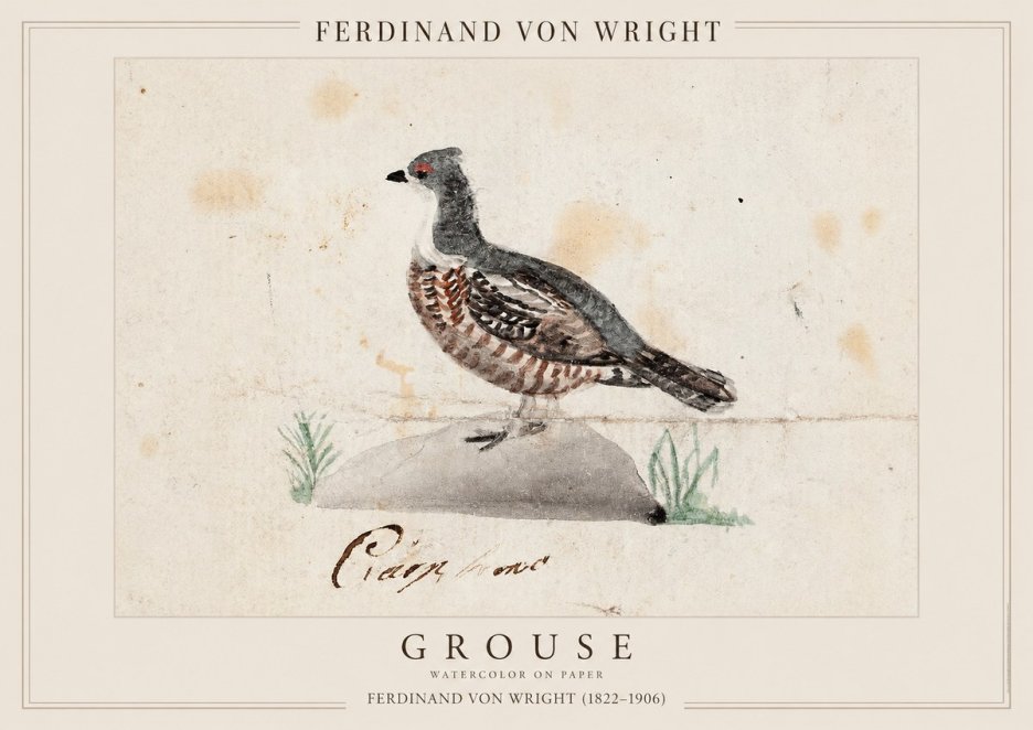 Ferdinand von Wright Grouse No1 - Plakat