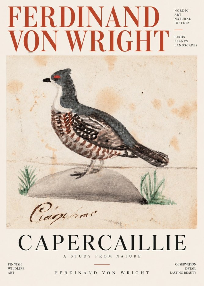 Ferdinand von Wright Grouse No4 - Plakat