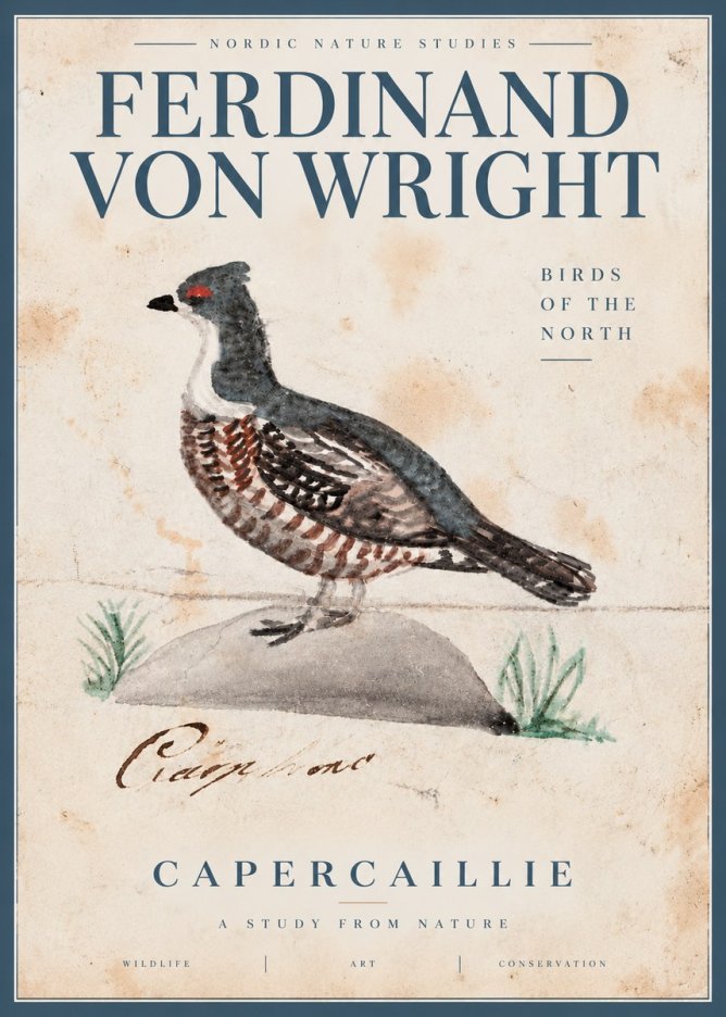 Ferdinand von Wright Grouse No5 - Plakat