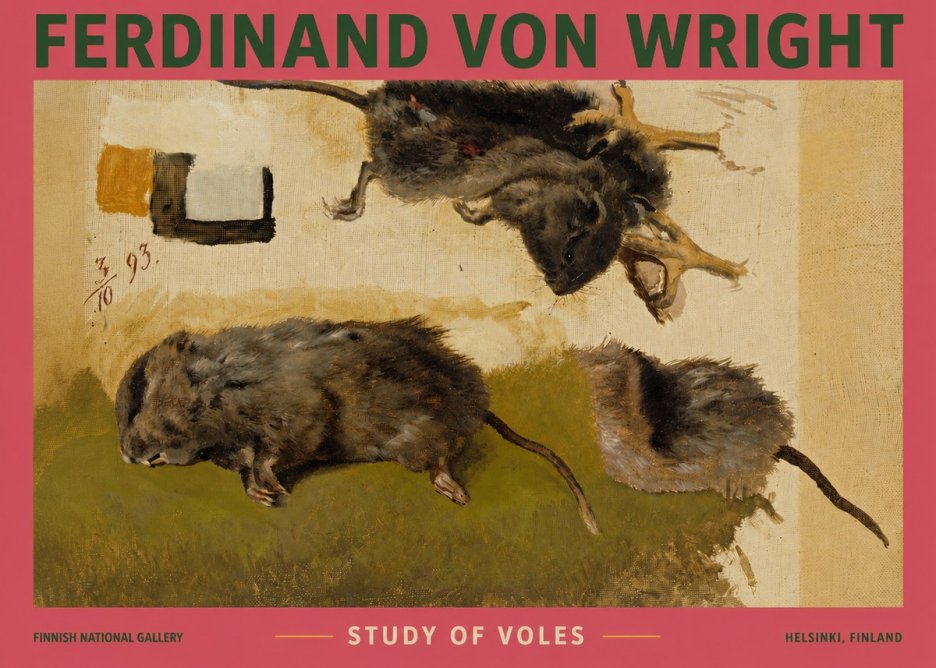 Ferdinand von Wright Studies of Lemmings No4 - Plakat