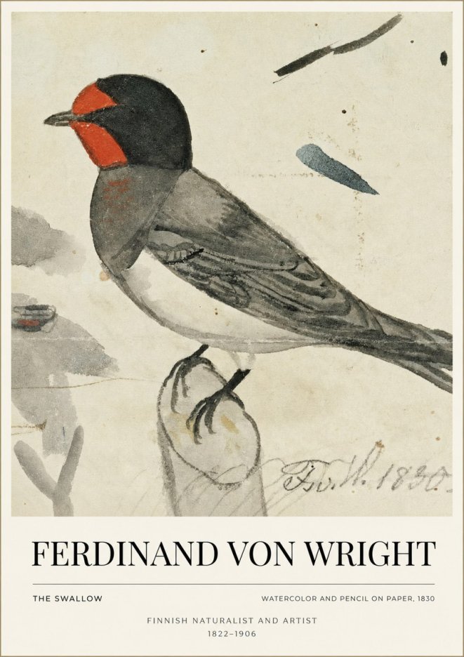 Ferdinand von Wright The Swallow No1 - Plakat