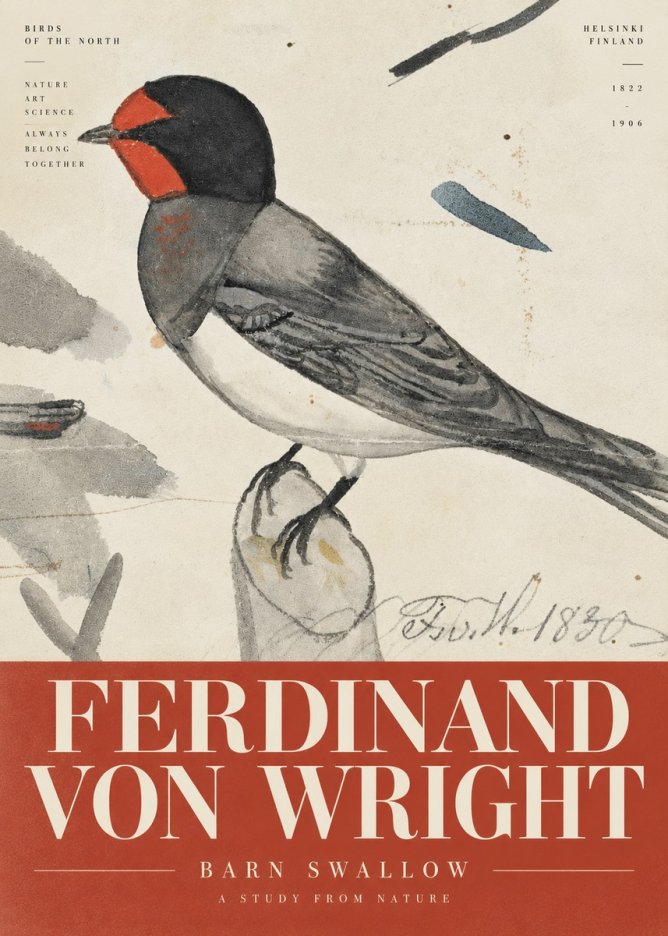 Ferdinand von Wright The Swallow No6 - Plakat