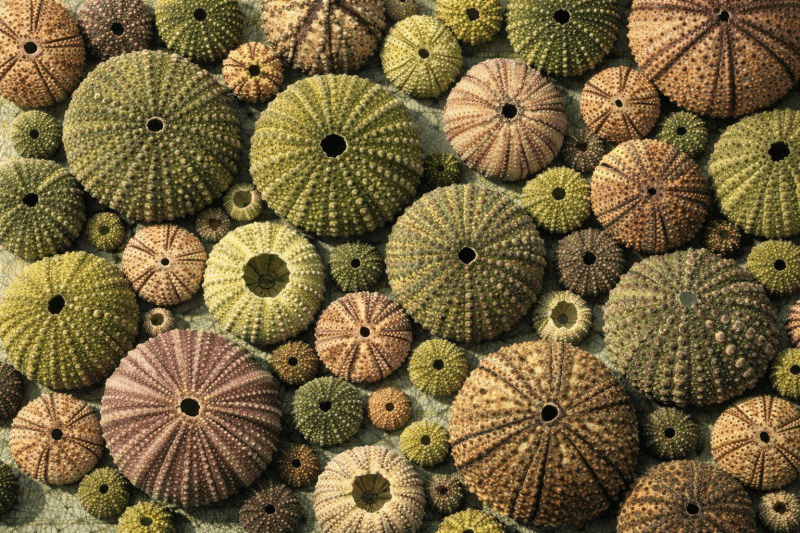Uploaded
wallpaper