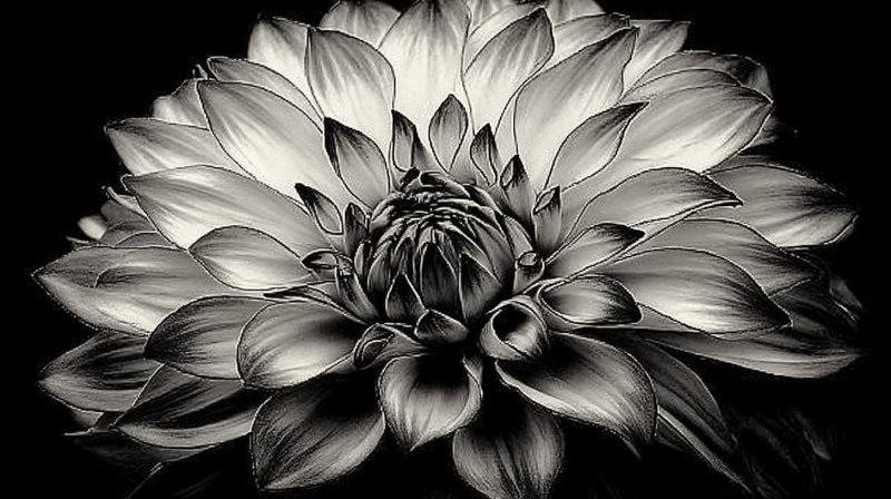 Uploaded
wallpaper