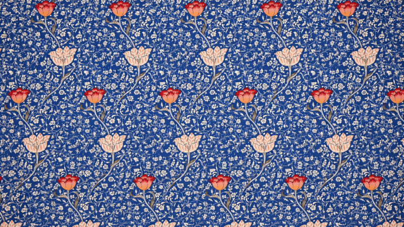 Uploaded
wallpaper