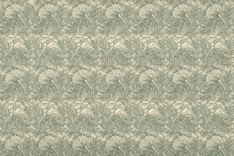 Uploaded
wallpaper