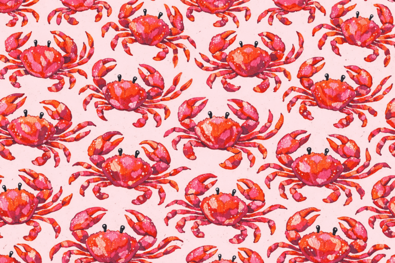 Uploaded
wallpaper