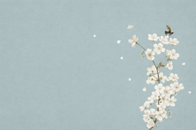Uploaded
wallpaper