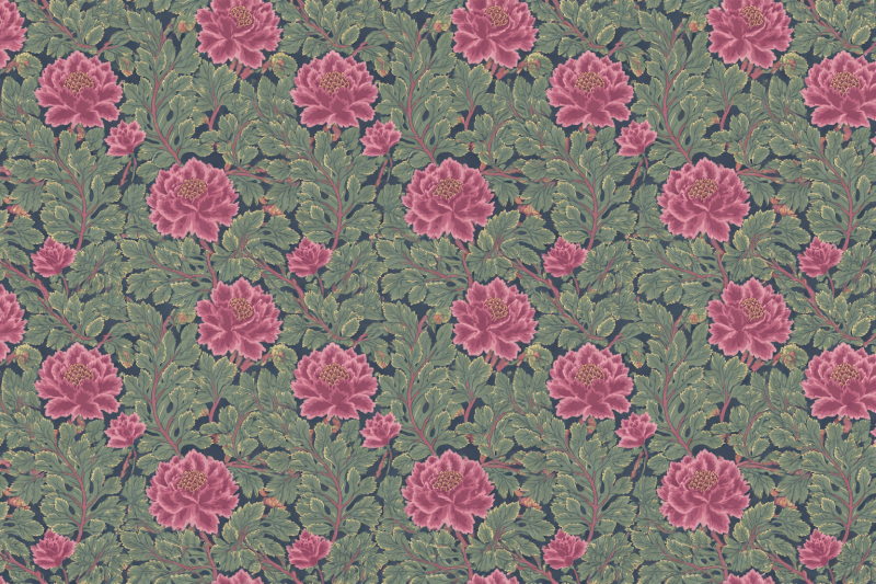 Uploaded
wallpaper